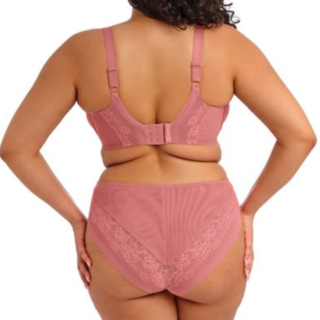 Nerina High Leg Brief
