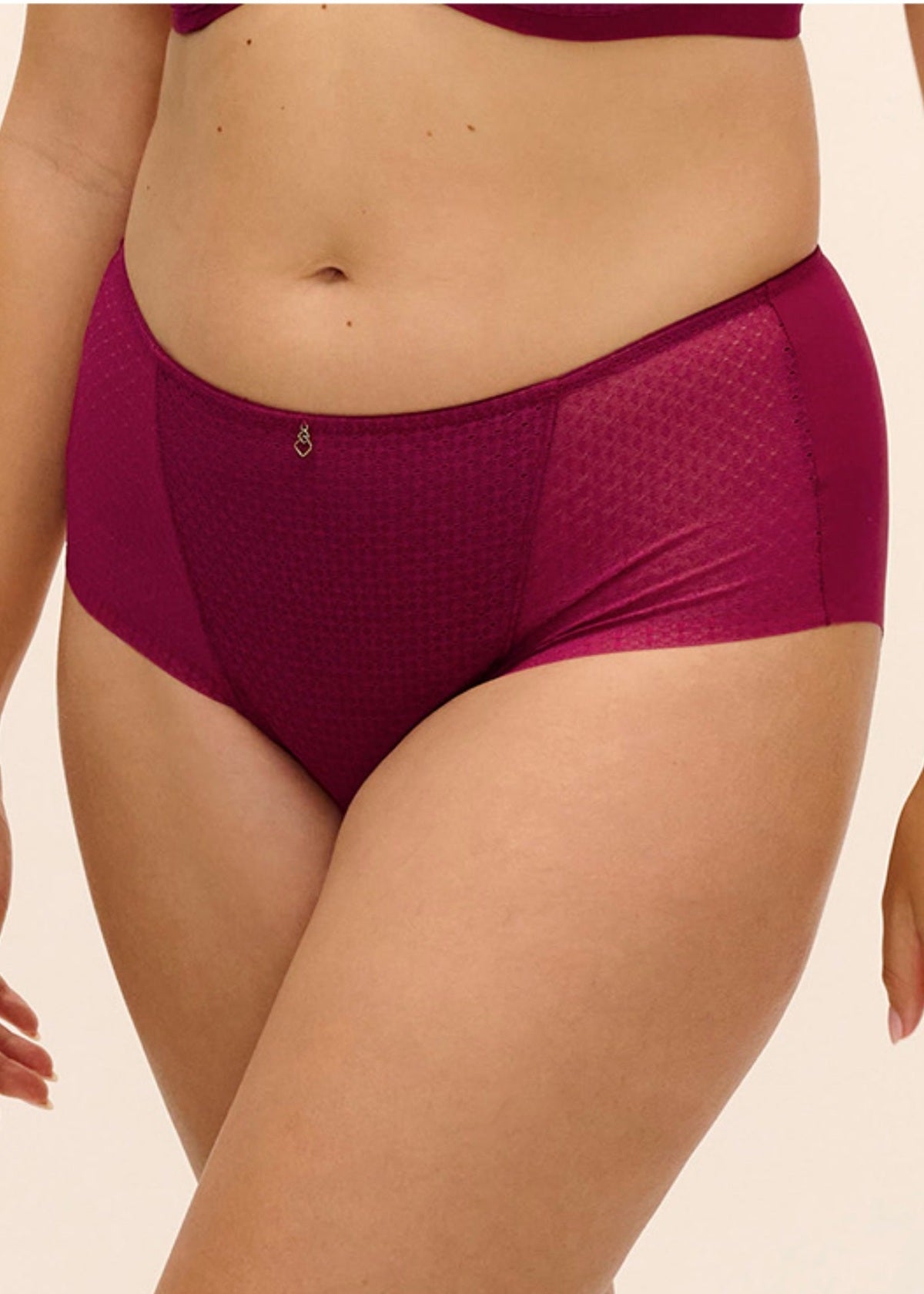Fantasie Evolution Comfort Full Brief - Ruby