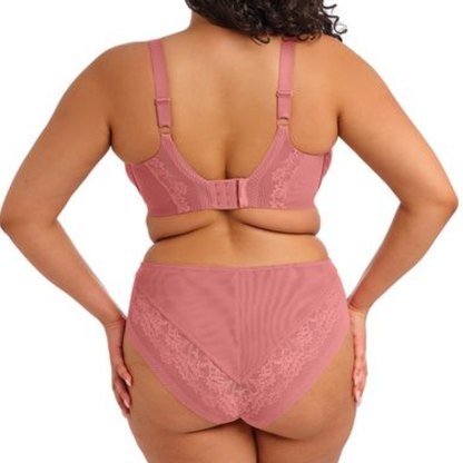 Nerina High Leg Brief