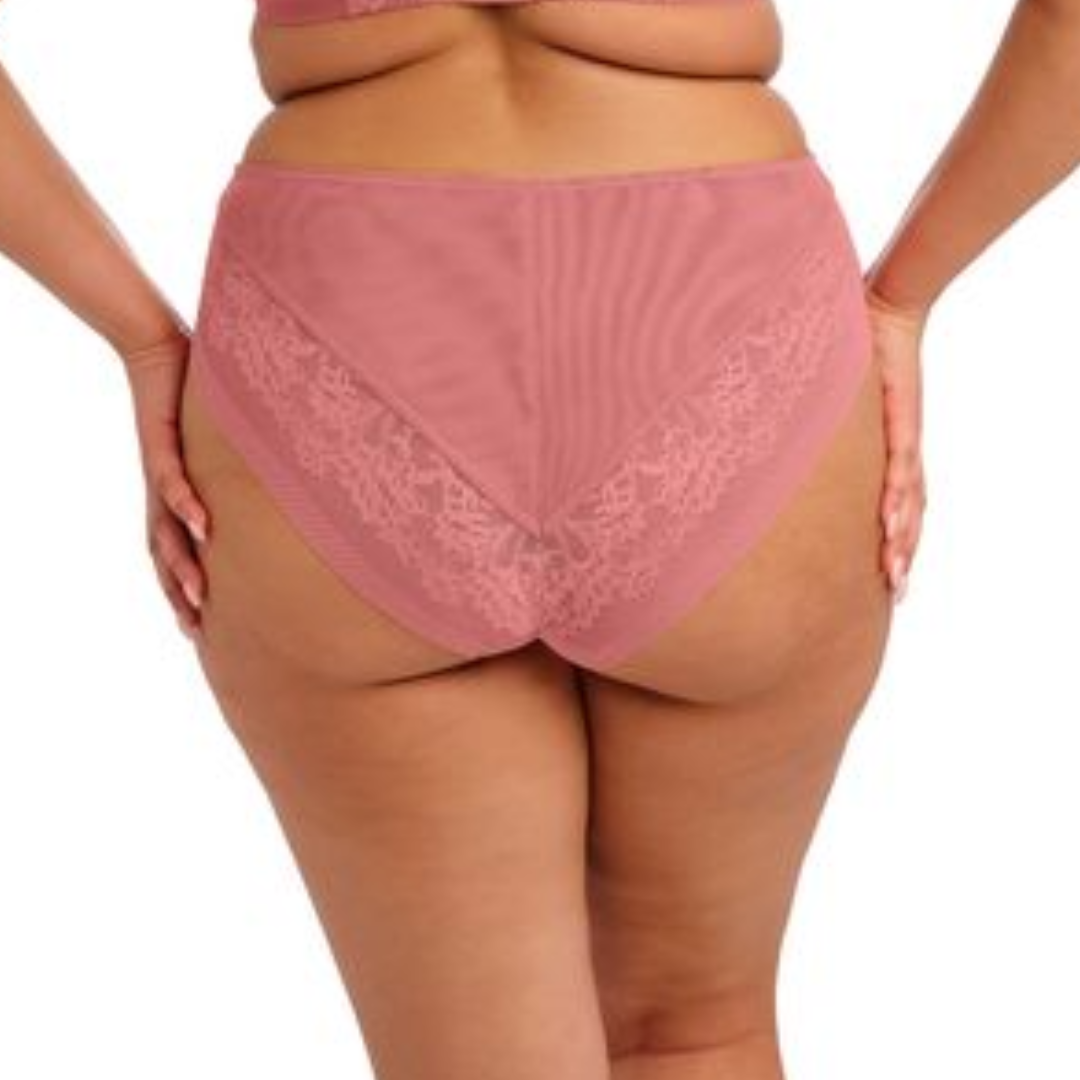 Nerina High Leg Brief
