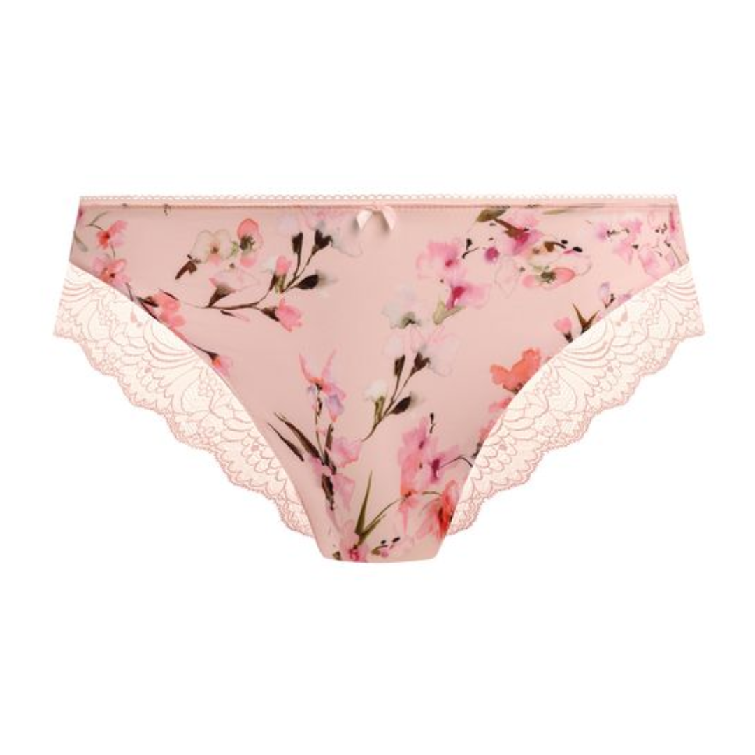 Lucia Brief