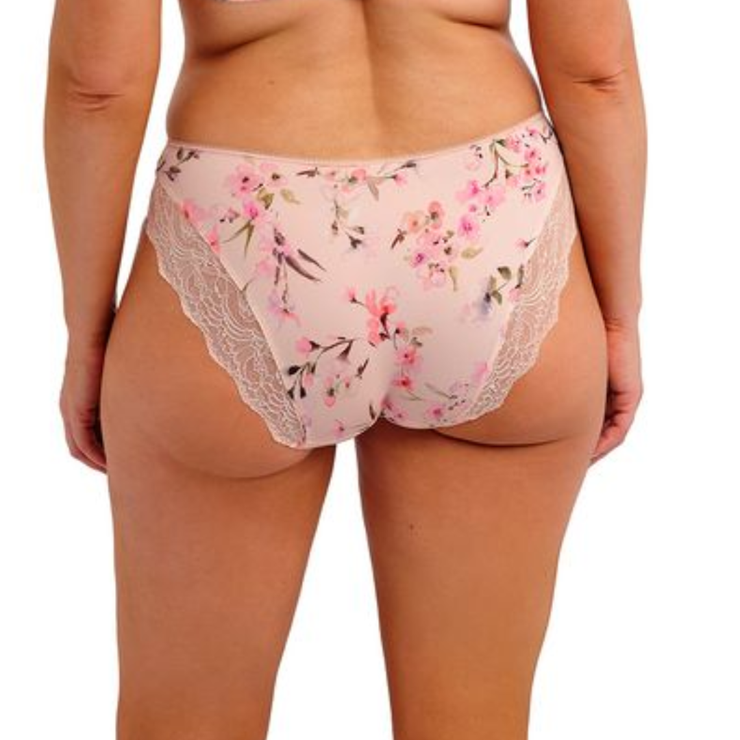 Lucia Brief