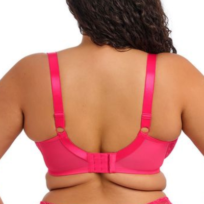 Darcie Plunge Bra