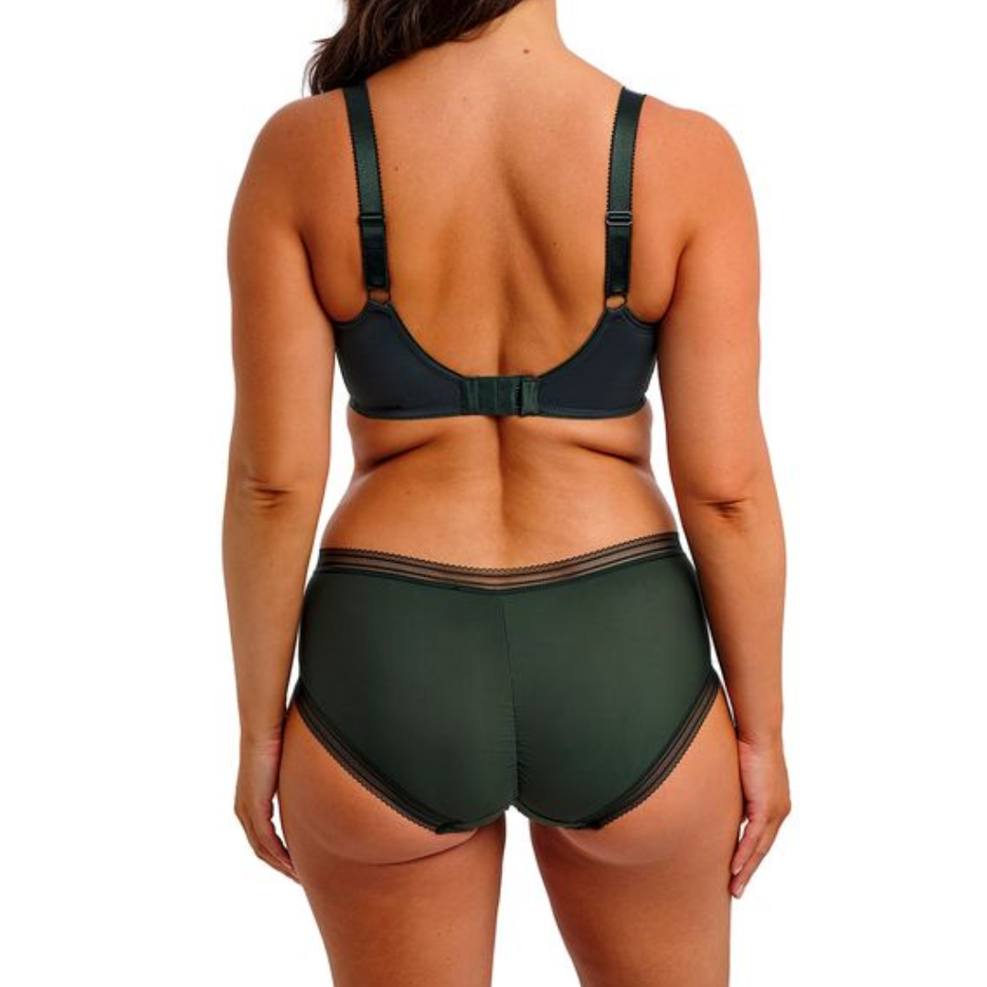 Fusion Brief Evergreen