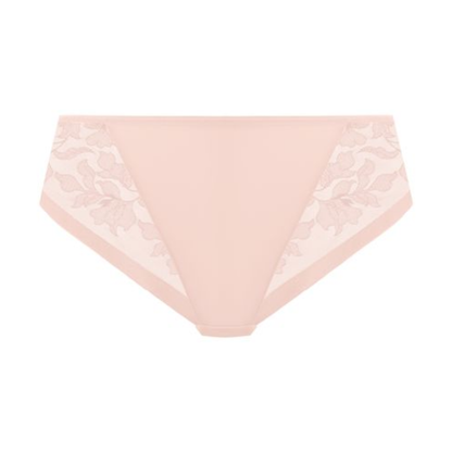 Illusion Brief