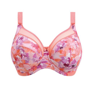 Coral Petal
