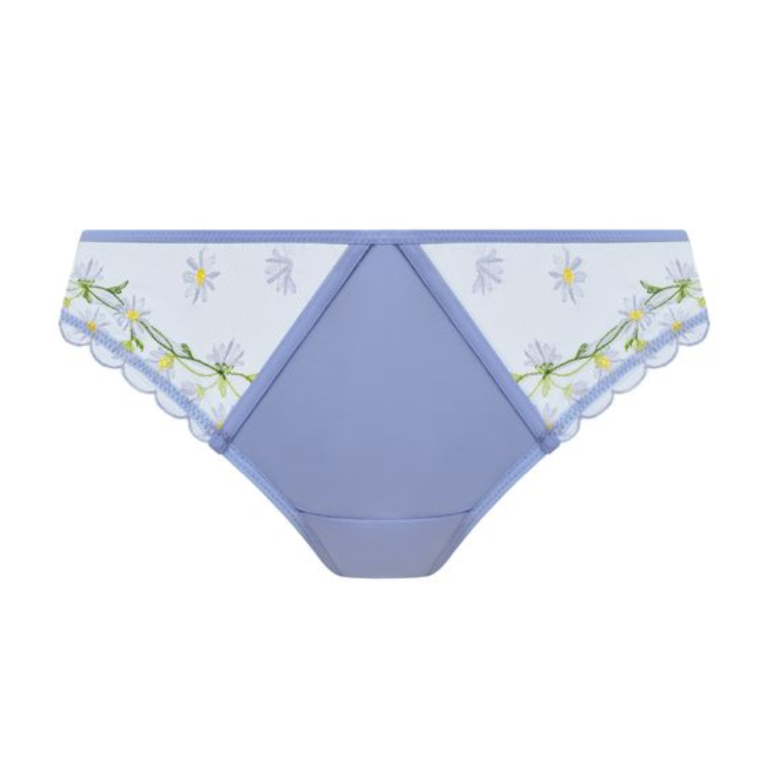 Entwined Brief