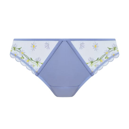 Entwined Brief