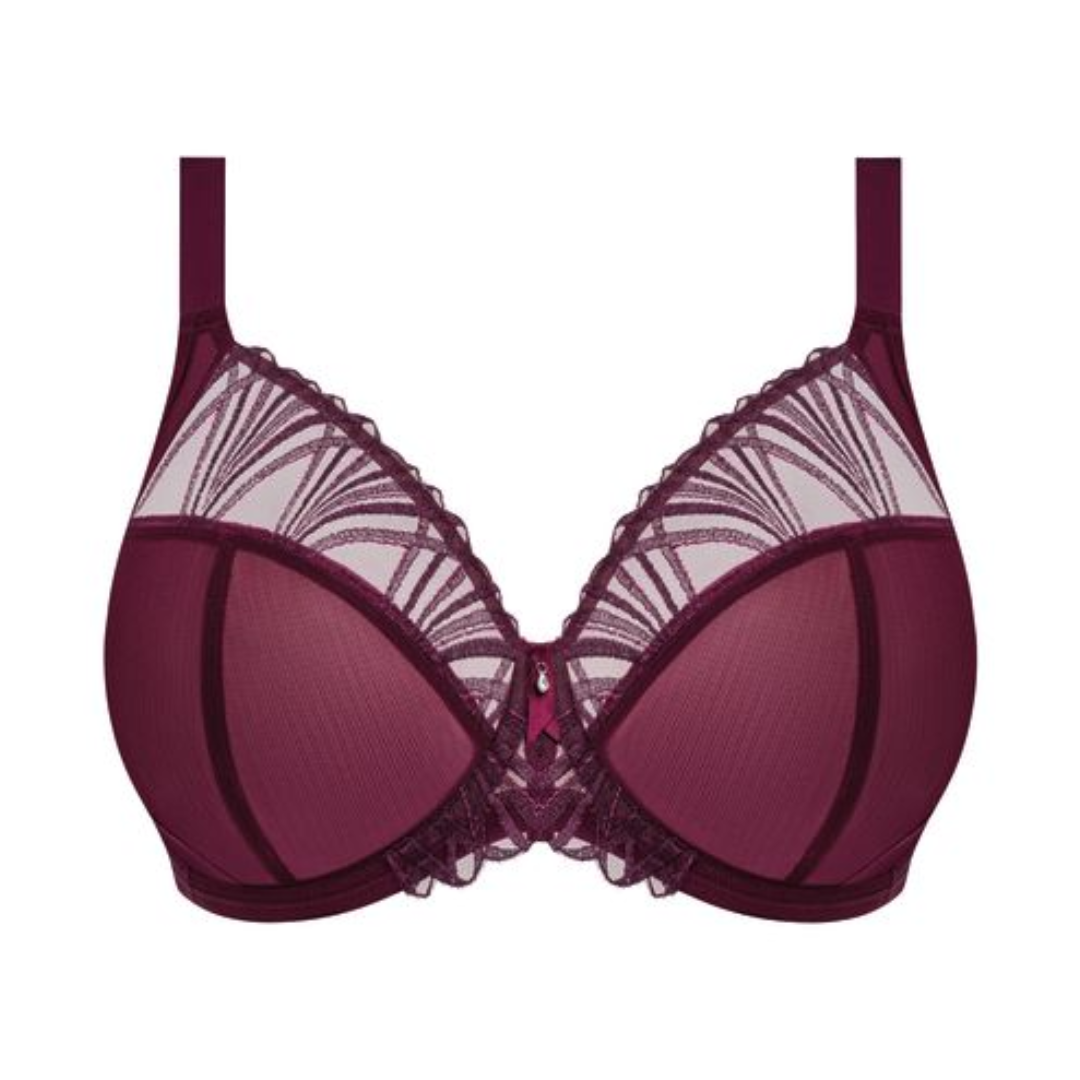 Reja Plunge Bra