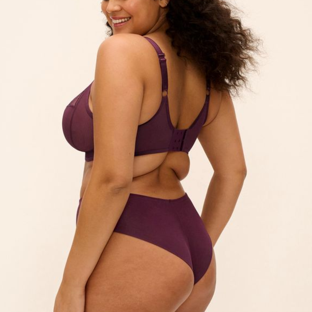 Reja Brazilian Brief