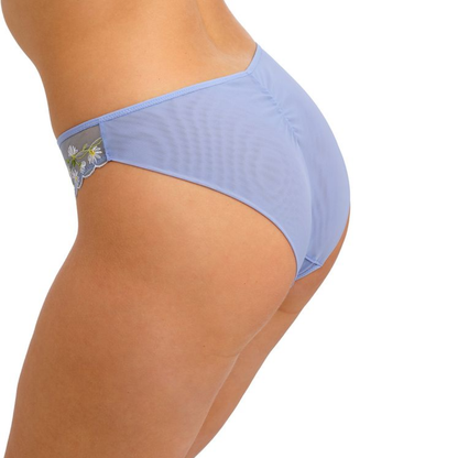 Entwined Brief