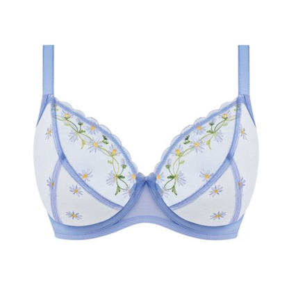 Entwined Plunge Bra