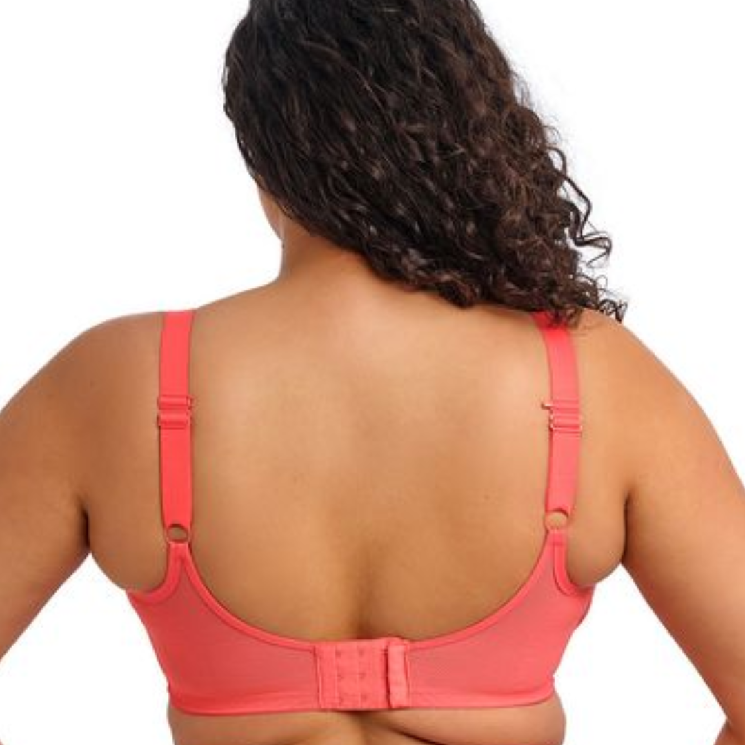 Matilda Plunge Bra