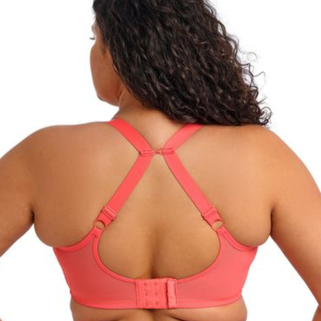 Matilda Plunge Bra