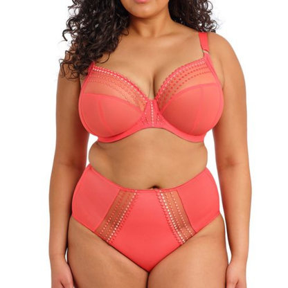 Matilda Full Brief