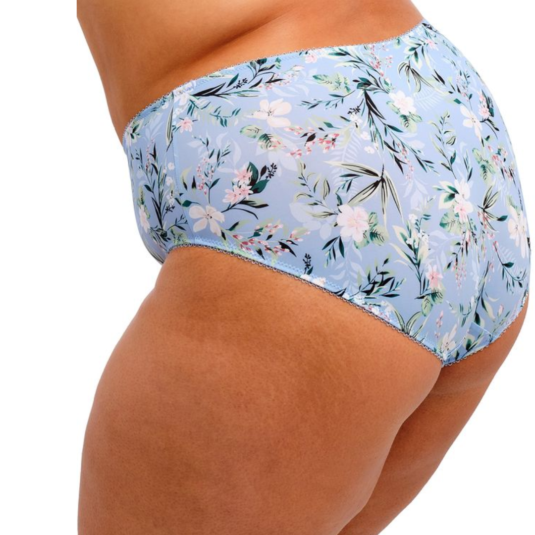 Goddess Kayla Brief