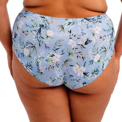 Goddess Kayla Brief