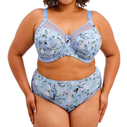 Goddess Kayla Brief