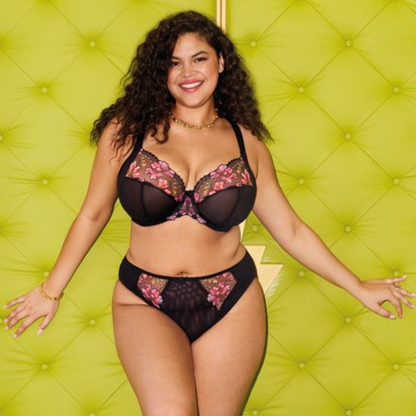 Teagan Plunge Bra