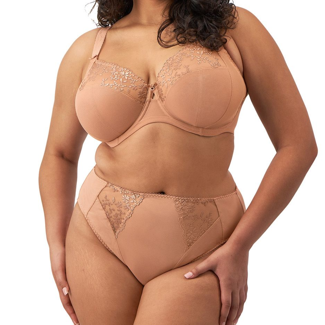 Elomi Zarla High Leg Brief