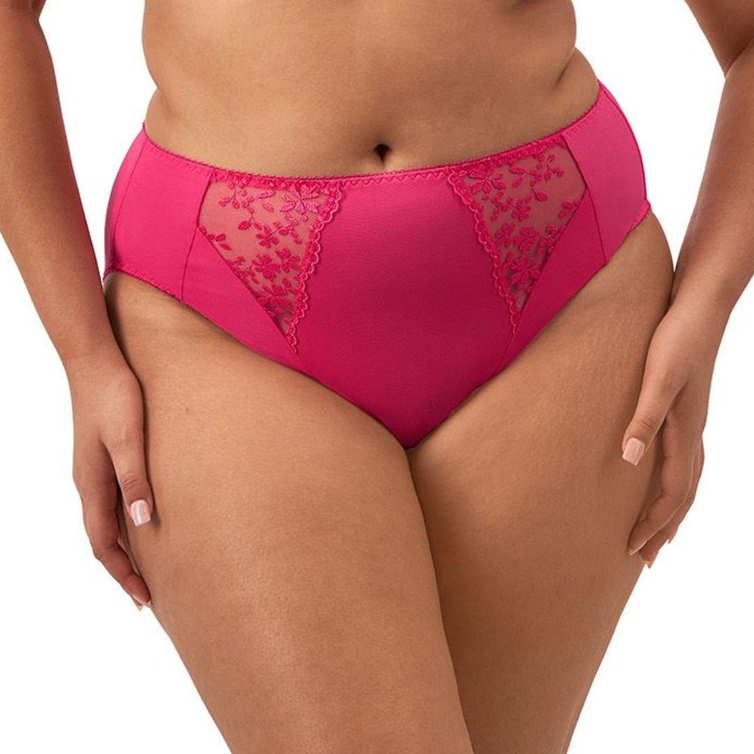 Elomi Zarla High Leg Brief