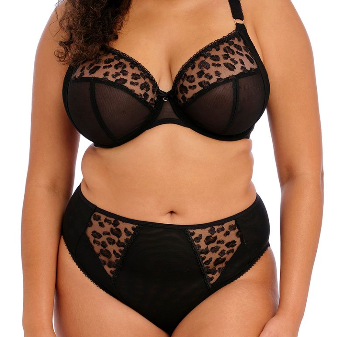 Namrah High Leg Brief