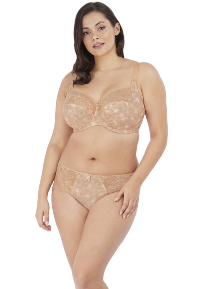 Morgan Brief