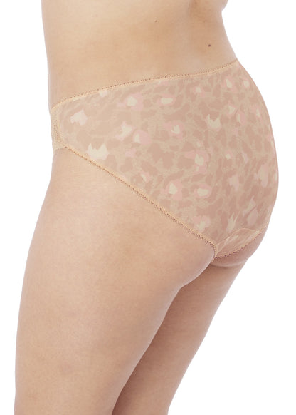 Morgan Brief