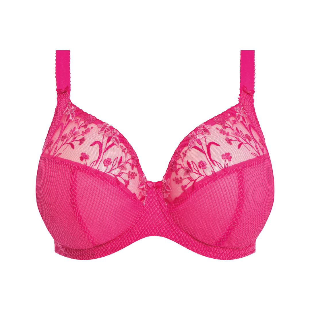 Charley Plunge Bra