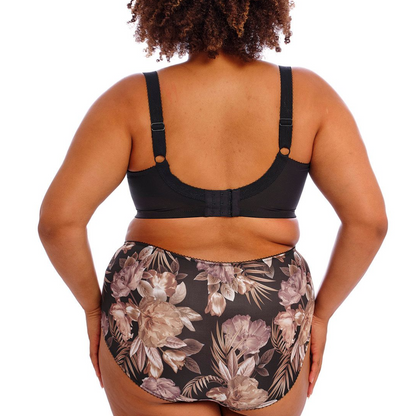 Goddess Kayla Brief