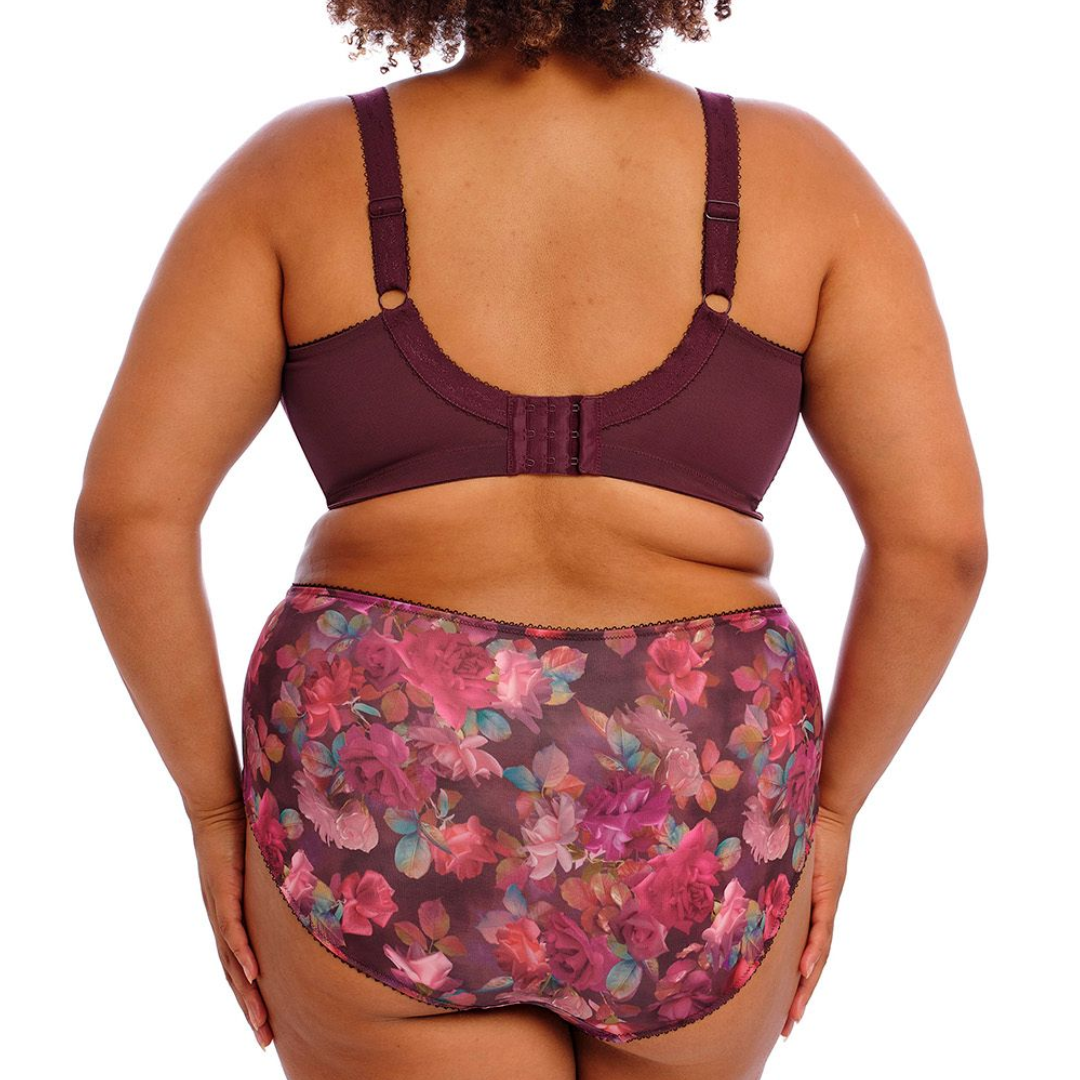 Goddess Kayla Brief