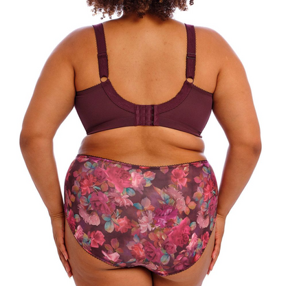 Goddess Kayla Brief