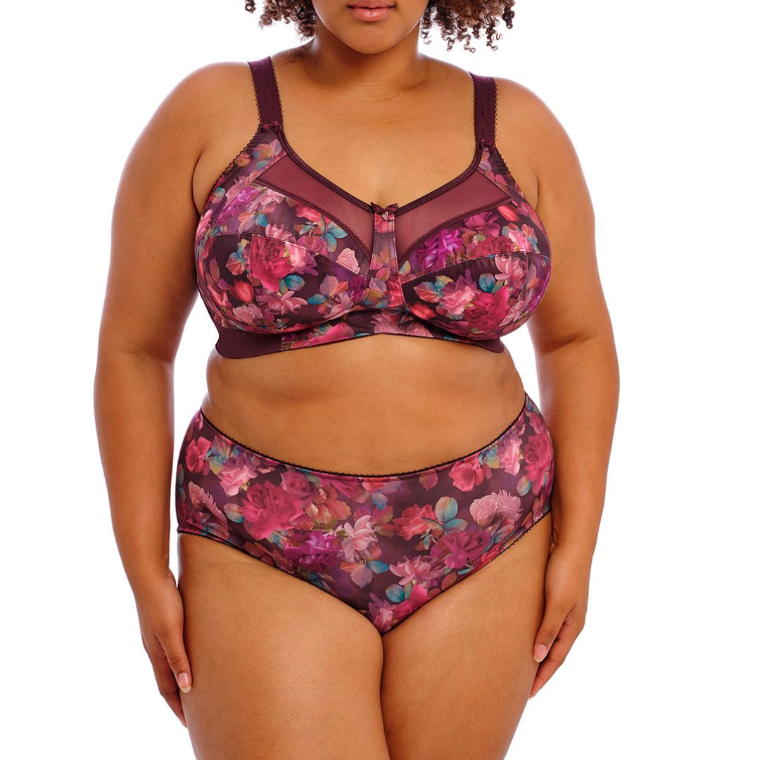 Goddess Kayla Brief