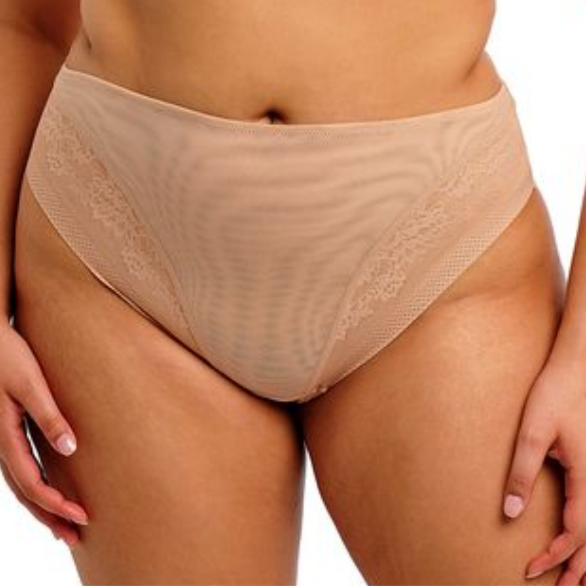Elomi Nerina High Leg Brief
