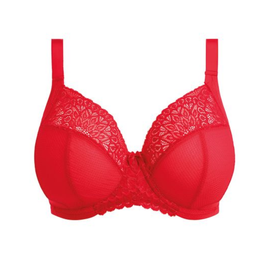 Tiernie Stretch Plunge Bra