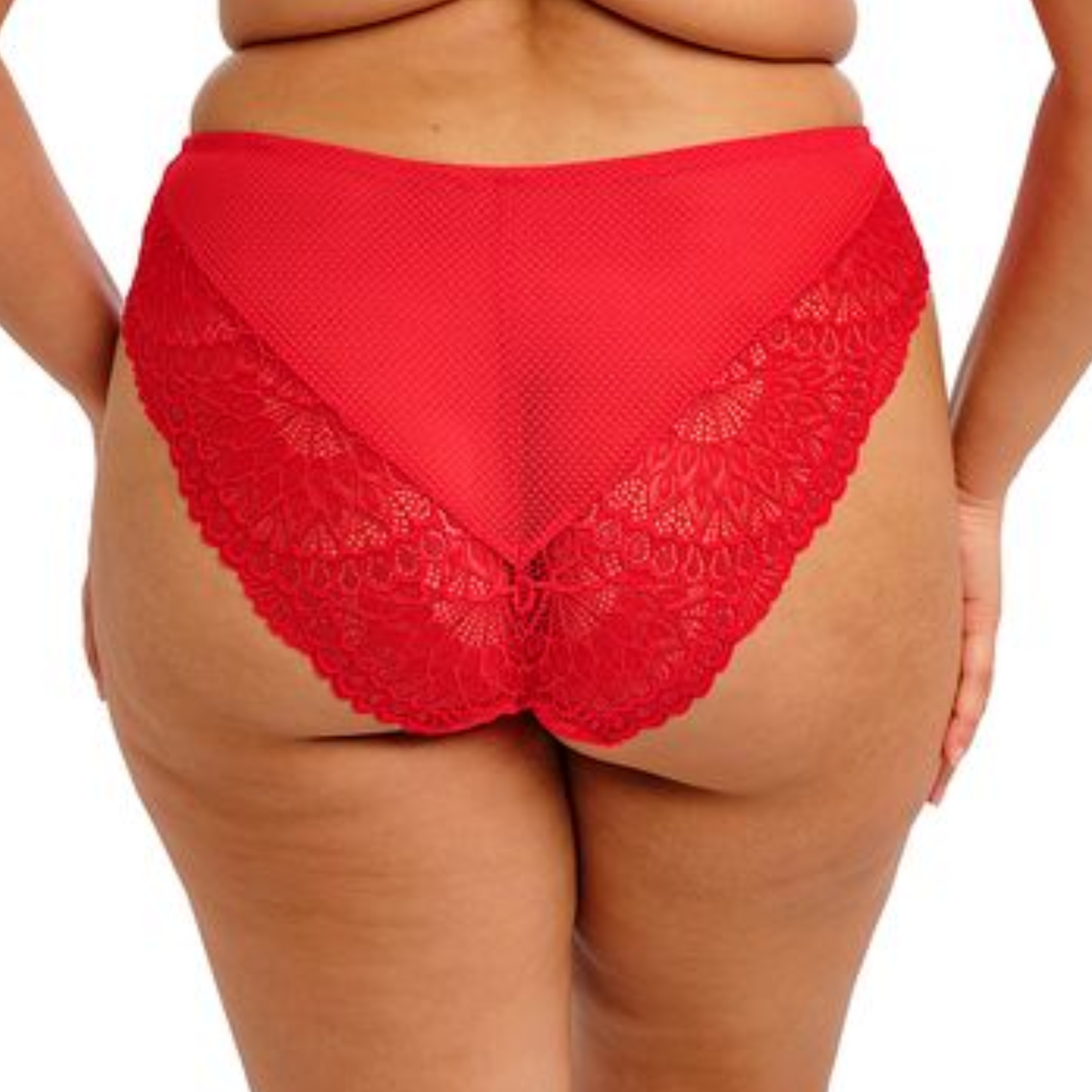 Tiernie Brief