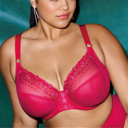 Matilda Plunge Bra