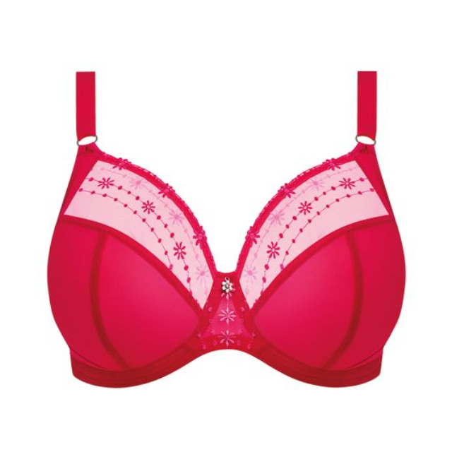 Matilda Plunge Bra
