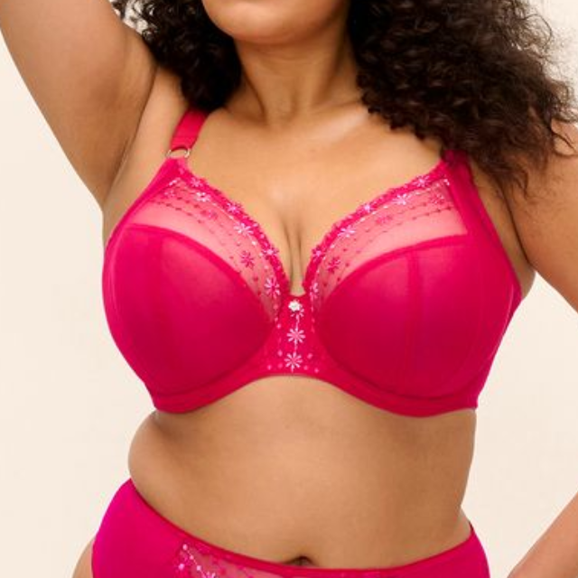 Matilda Plunge Bra