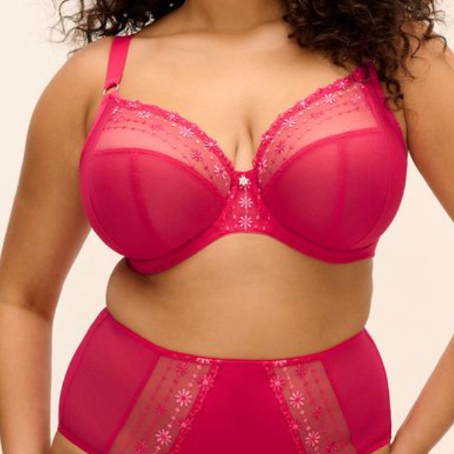 Matilda Plunge Bra
