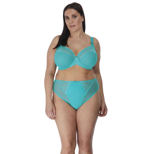 Charley High Leg Brief