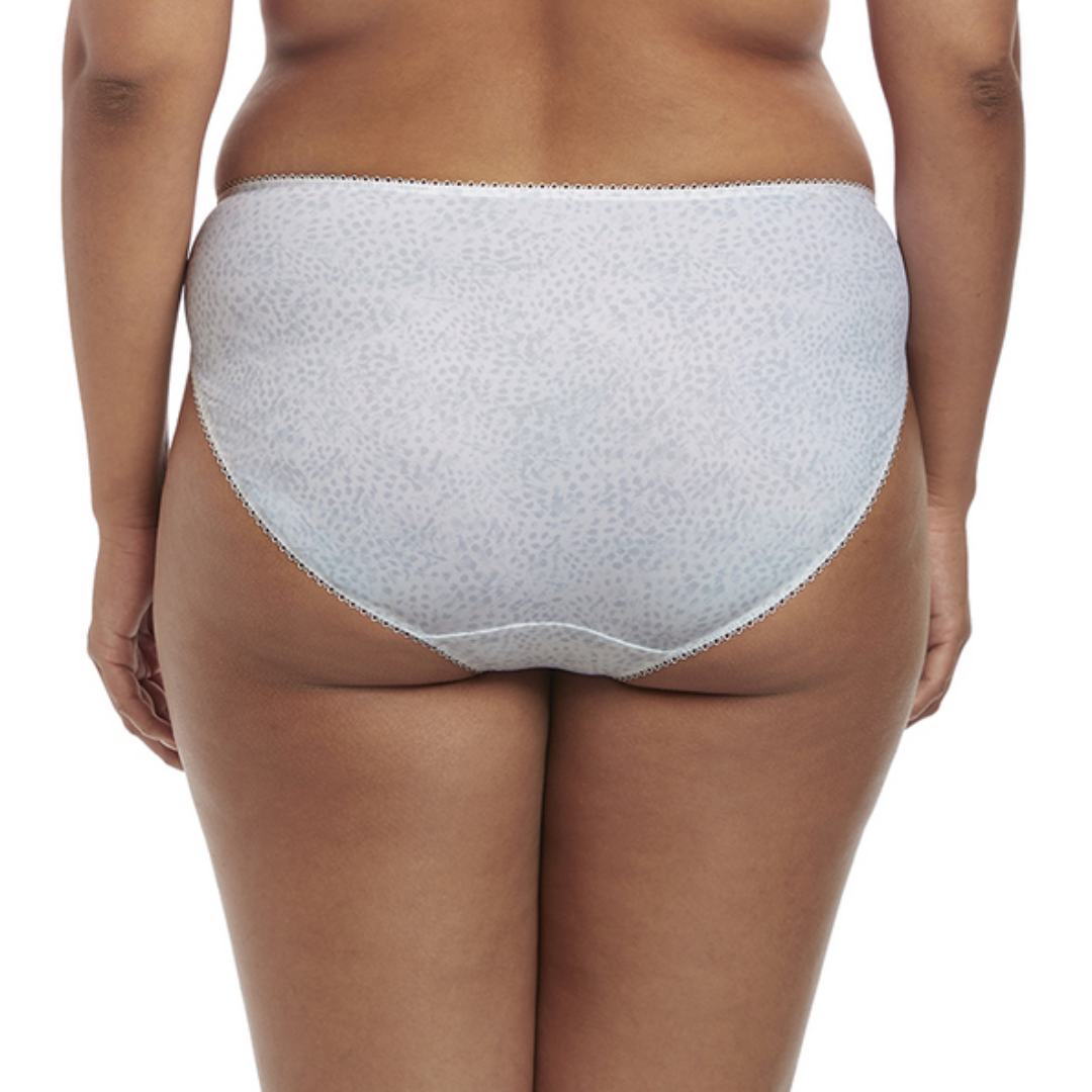 Morgan Brief