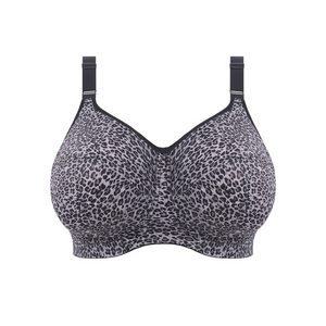Gray Leopard